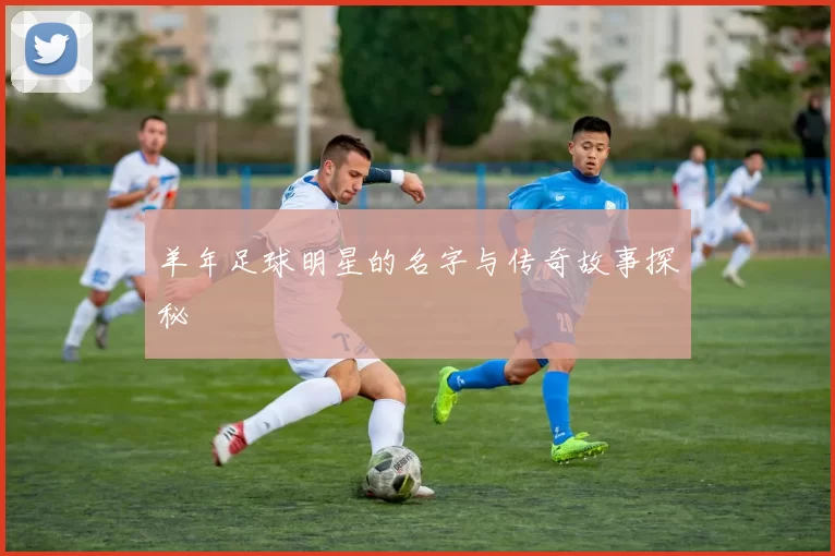 羊年足球明星的名字与传奇故事探秘