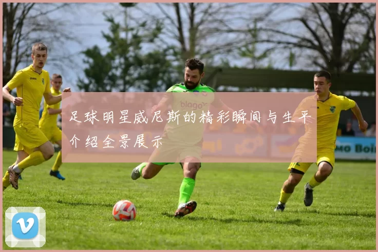 足球明星威尼斯的精彩瞬间与生平介绍全景展示