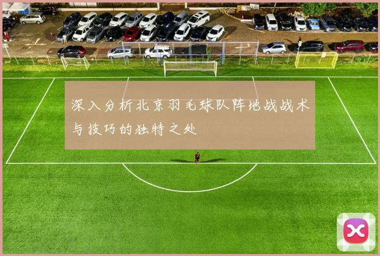 深入分析北京羽毛球队阵地战战术与技巧的独特之处
