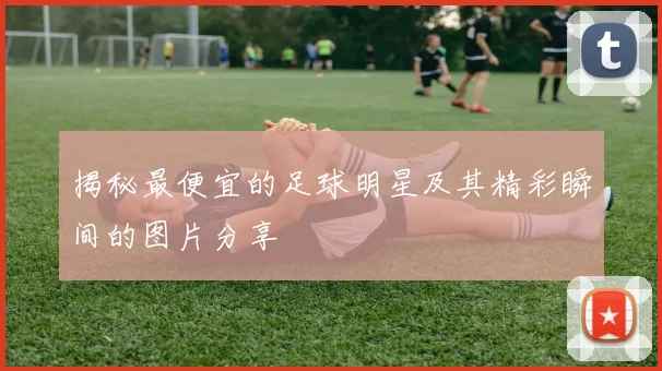 揭秘最便宜的足球明星及其精彩瞬间的图片分享