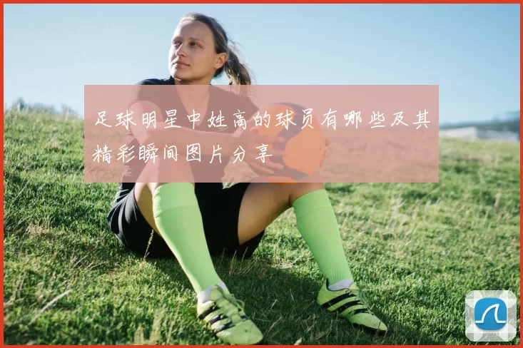 足球明星中姓高的球员有哪些及其精彩瞬间图片分享