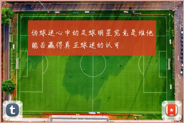 伪球迷心中的足球明星究竟是谁他能否赢得真正球迷的认可