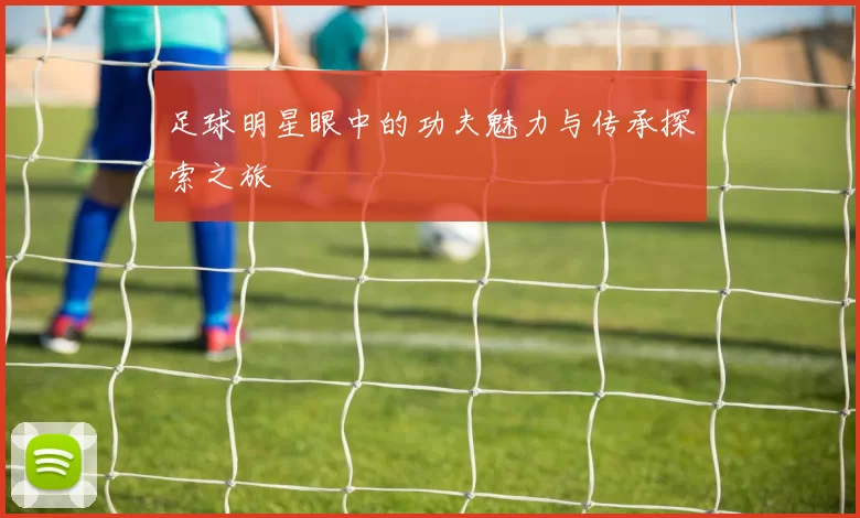 足球明星眼中的功夫魅力与传承探索之旅