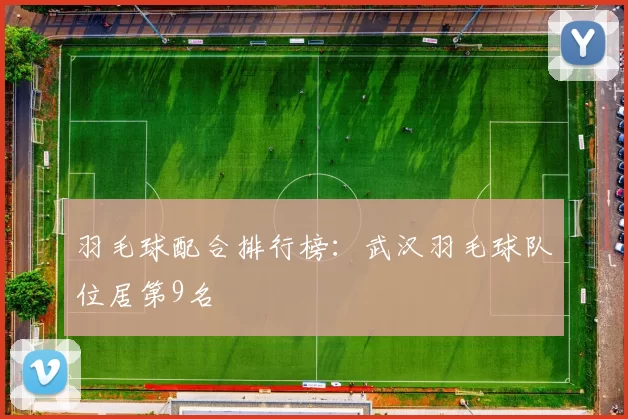 羽毛球配合排行榜：武汉羽毛球队位居第9名