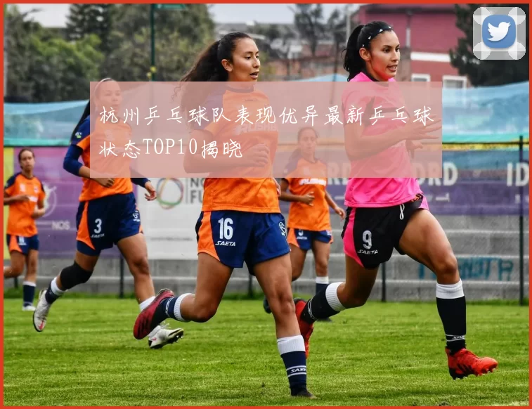 杭州乒乓球队表现优异最新乒乓球状态TOP10揭晓