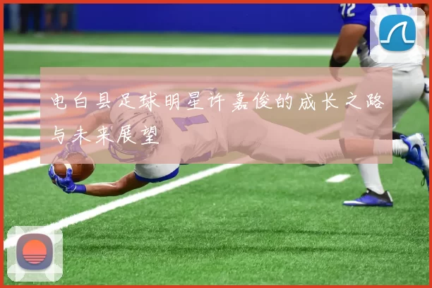 电白县足球明星许嘉俊的成长之路与未来展望