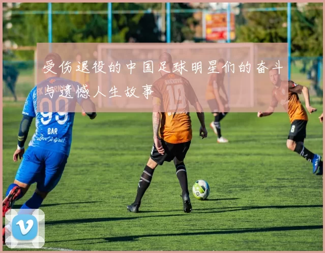 受伤退役的中国足球明星们的奋斗与遗憾人生故事