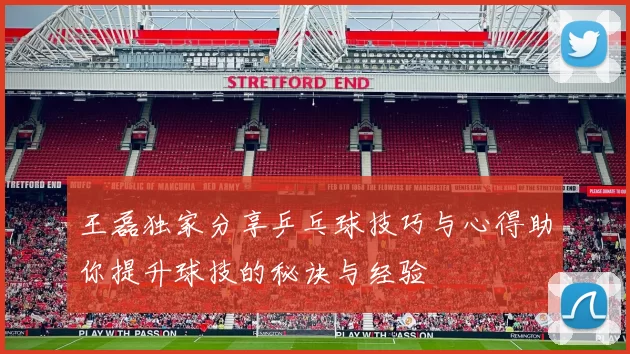 王磊独家分享乒乓球技巧与心得助你提升球技的秘诀与经验