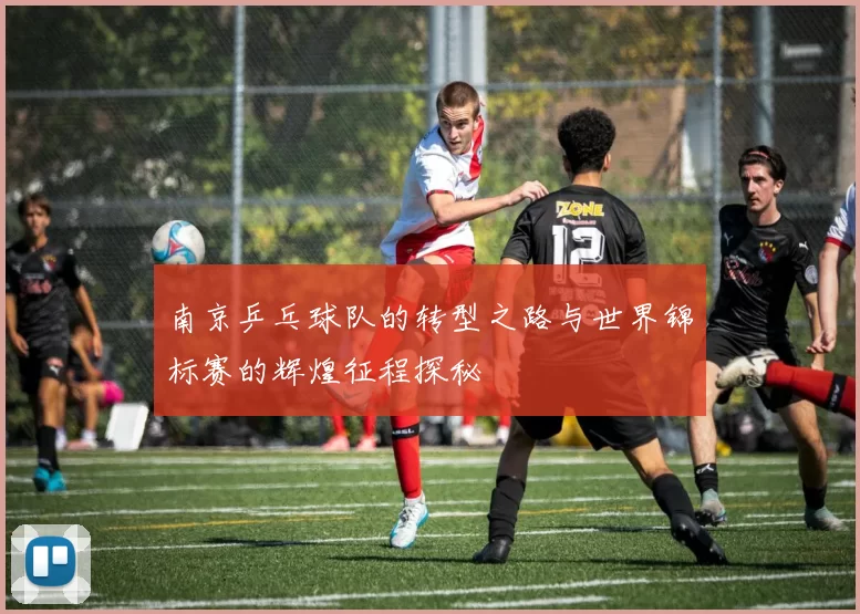 南京乒乓球队的转型之路与世界锦标赛的辉煌征程探秘