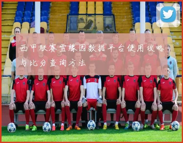 西甲联赛雪缘园数据平台使用攻略与比分查询方法