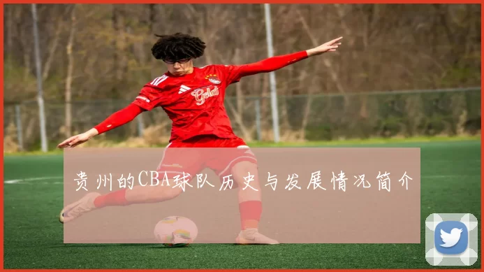 贵州的CBA球队历史与发展情况简介