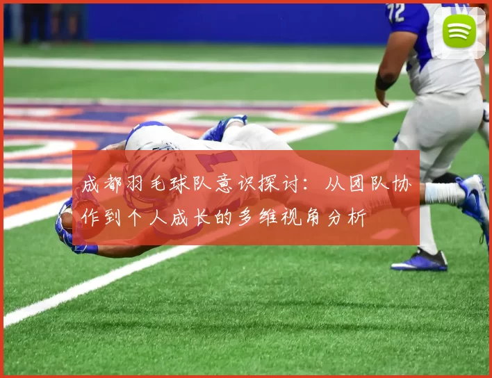 成都羽毛球队意识探讨：从团队协作到个人成长的多维视角分析