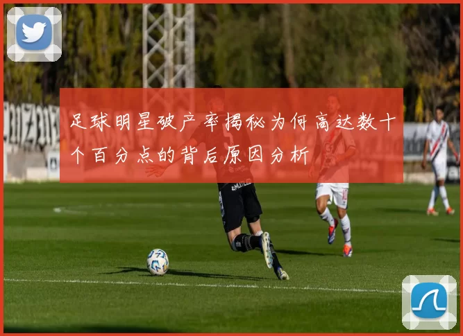 足球明星破产率揭秘为何高达数十个百分点的背后原因分析