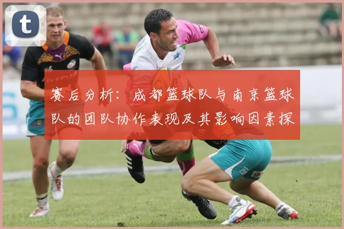 赛后分析：成都篮球队与南京篮球队的团队协作表现及其影响因素探讨