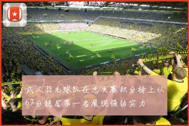武汉羽毛球队在总决赛积分榜上以67分稳居第一名展现强劲实力