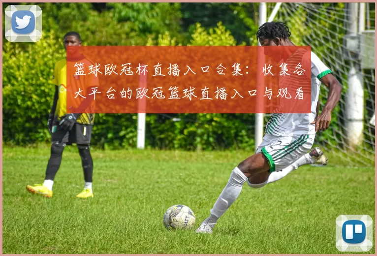 篮球欧冠杯直播入口合集：收集各大平台的欧冠篮球直播入口与观看方式