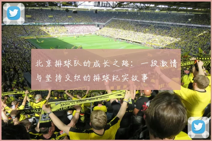 北京排球队的成长之路：一段激情与坚持交织的排球纪实故事