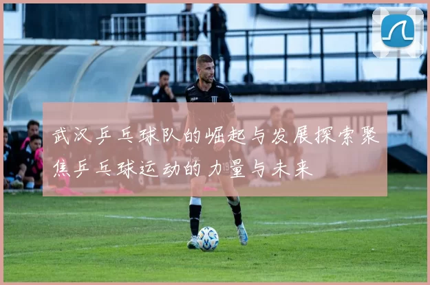 武汉乒乓球队的崛起与发展探索聚焦乒乓球运动的力量与未来