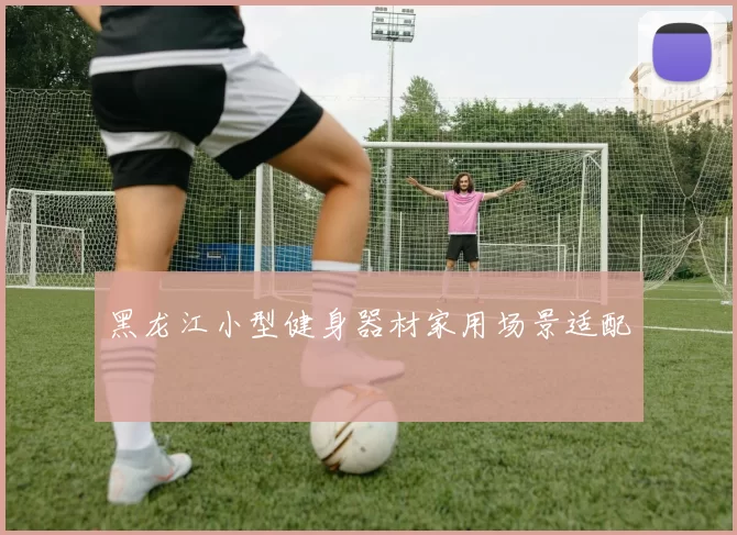 黑龙江小型健身器材家用场景适配
