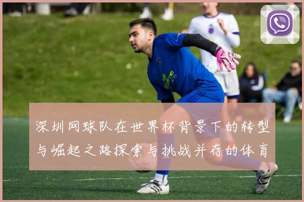 深圳网球队在世界杯背景下的转型与崛起之路探索与挑战并存的体育发展新篇章