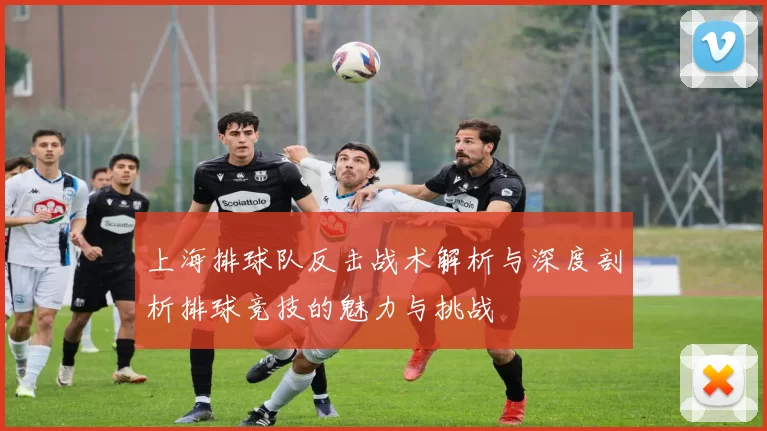 上海排球队反击战术解析与深度剖析排球竞技的魅力与挑战