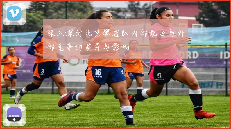 深入探讨北京攀岩队内部配合与外部竞争的差异与影响
